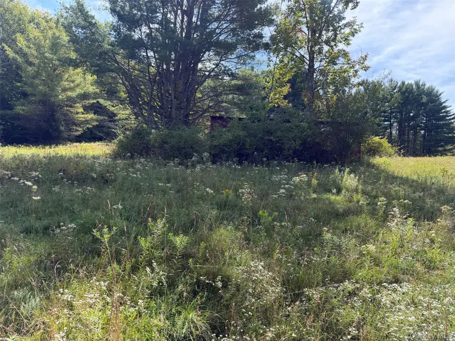 485 Sickler Road, Willow, NY 12495 - #3