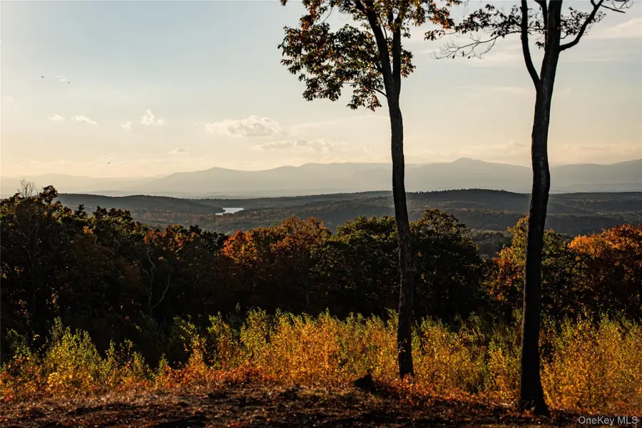 East Klein Road, Ancram, NY 12502 - #2