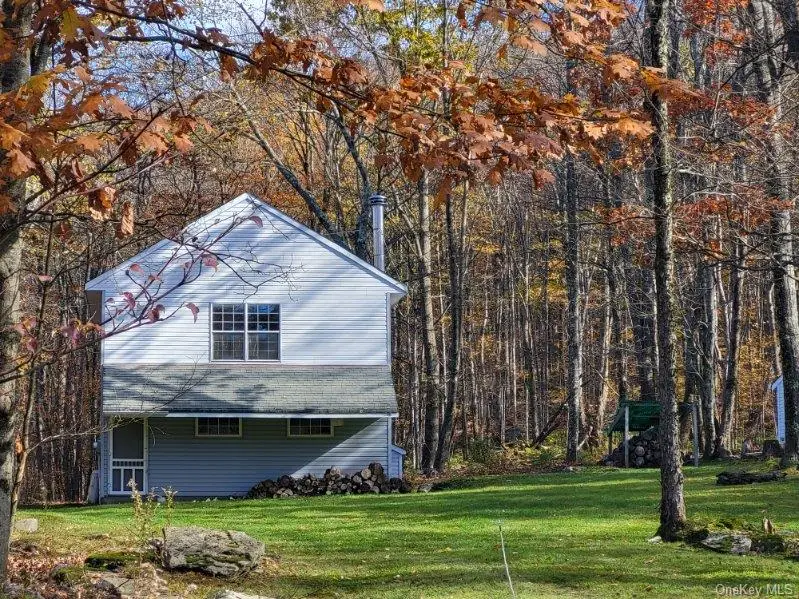 1756 Fuller Hill Road, Downsville, NY 13755 - #1