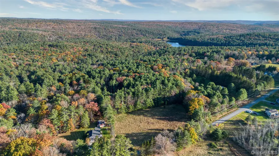 Lot 22.1 Crawford Road, Yulan, NY 12792 - #2