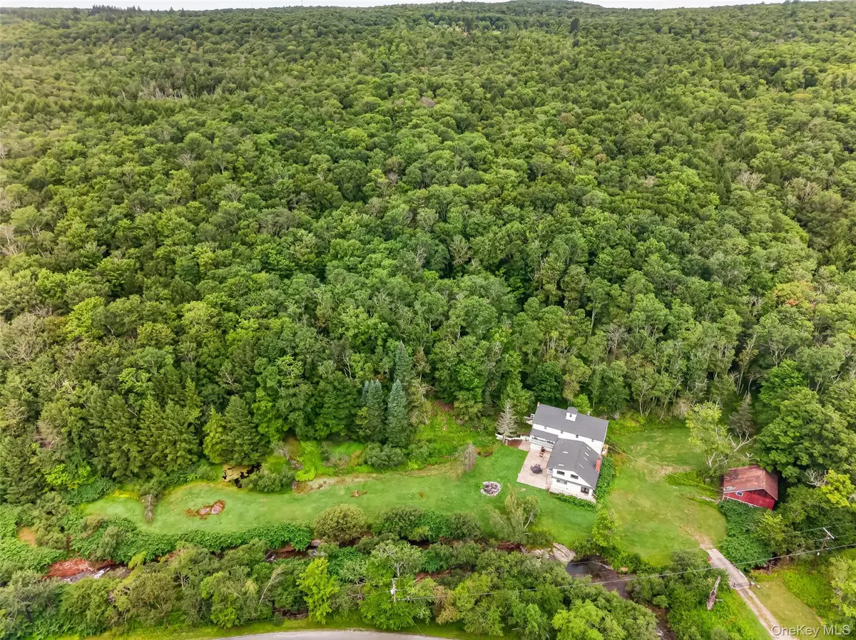 609 Grooville Road, Livingston Manor, NY 12758 - #1