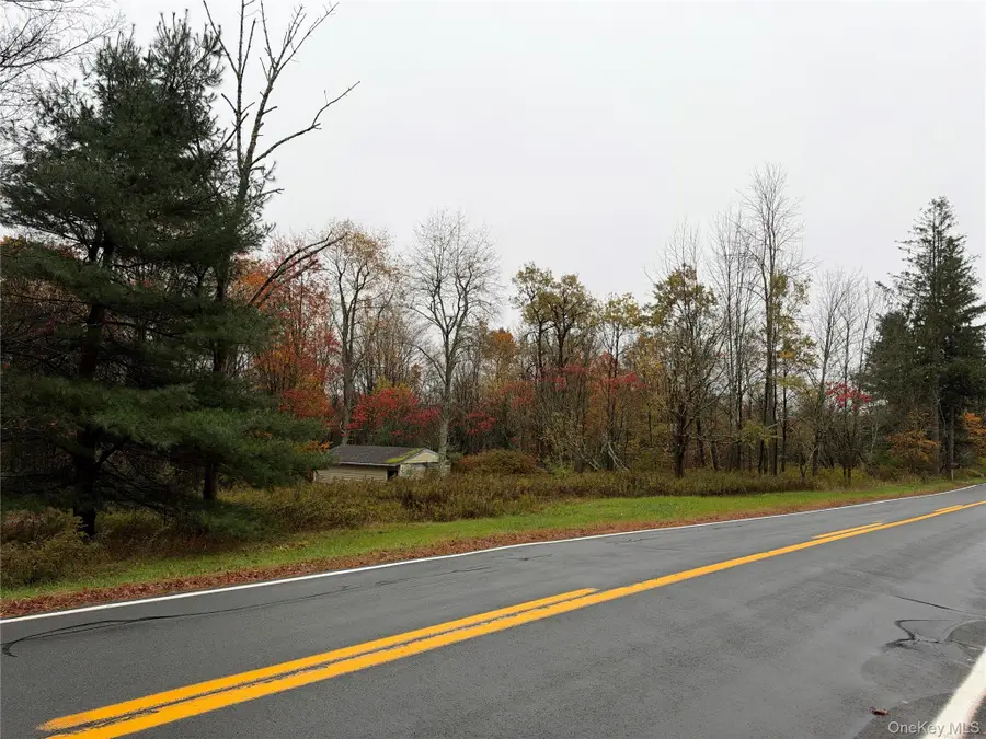 243 Lt. J.g. Brender Hwy, Ferndale, NY 12734 - #3
