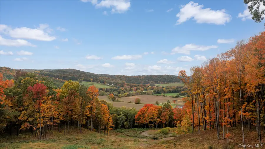 0 County Rt 83, Pine Plains, NY 12567 - #2