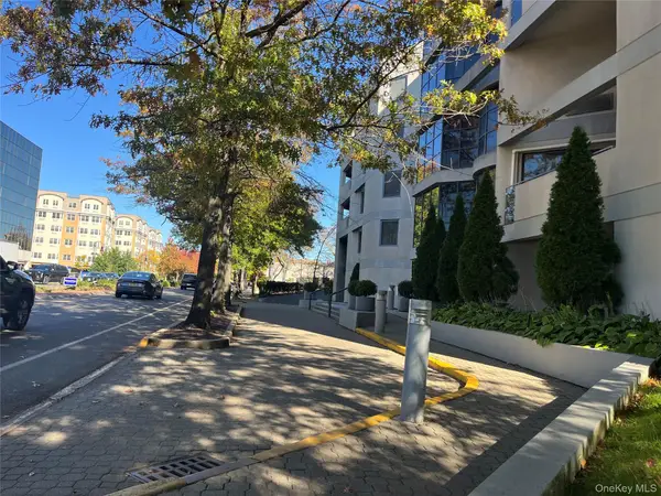 100 Great Neck Road #3D, Great Neck, NY 11021