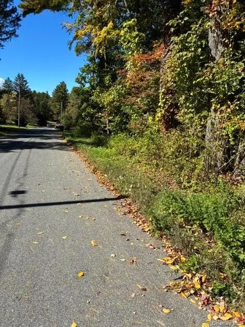 TBD Irish Cape Road, Ellenville, NY 12428