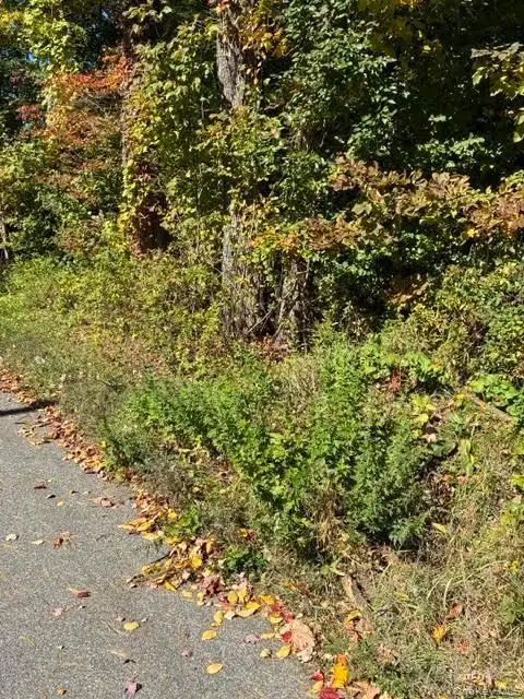TBD Irish Cape Road, Ellenville, NY 12428 - #3