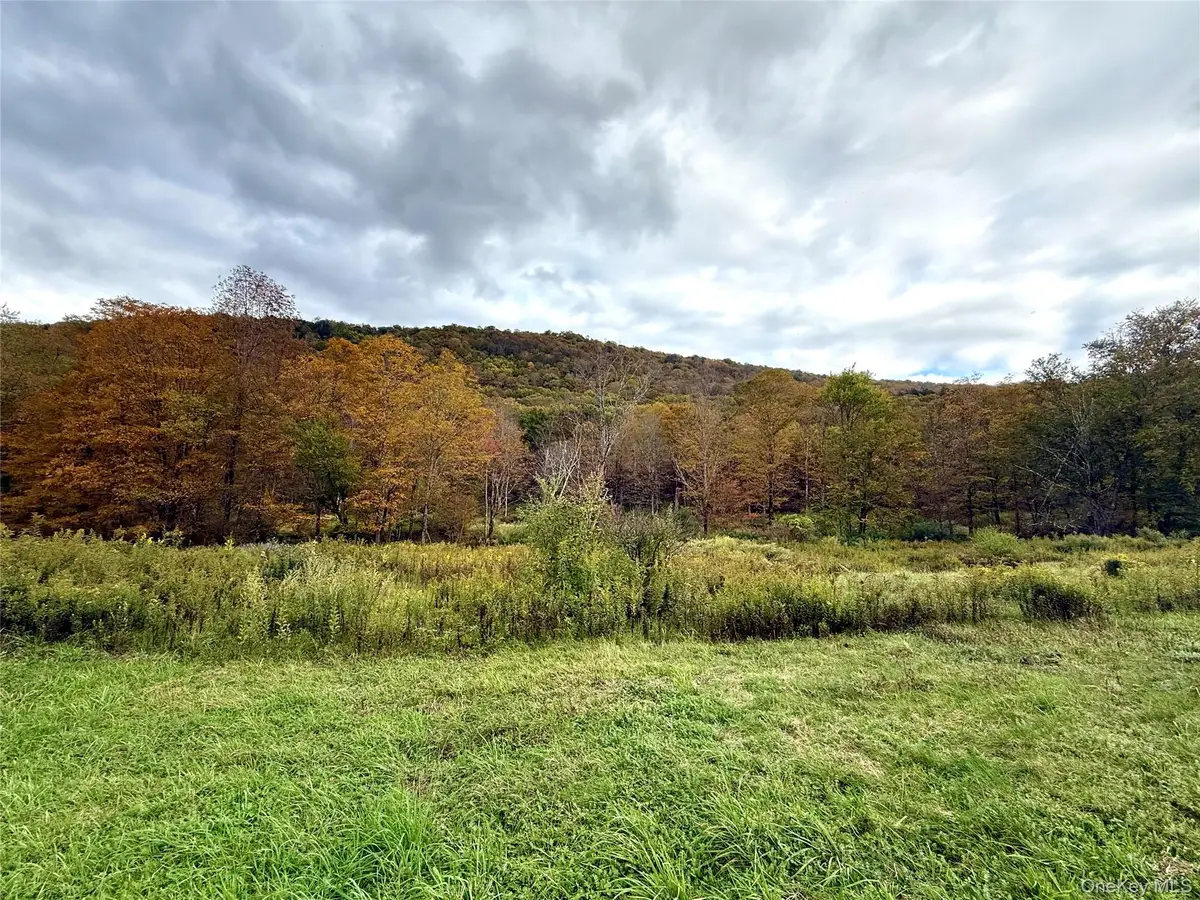 The Gulf Road, Roscoe, NY 12776 - #1