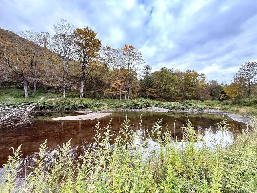 The Gulf Road, Roscoe, NY 12776 - #2