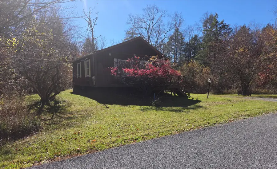 119 Mineral Springs Road, Livingston Manor, NY 12758 - #2