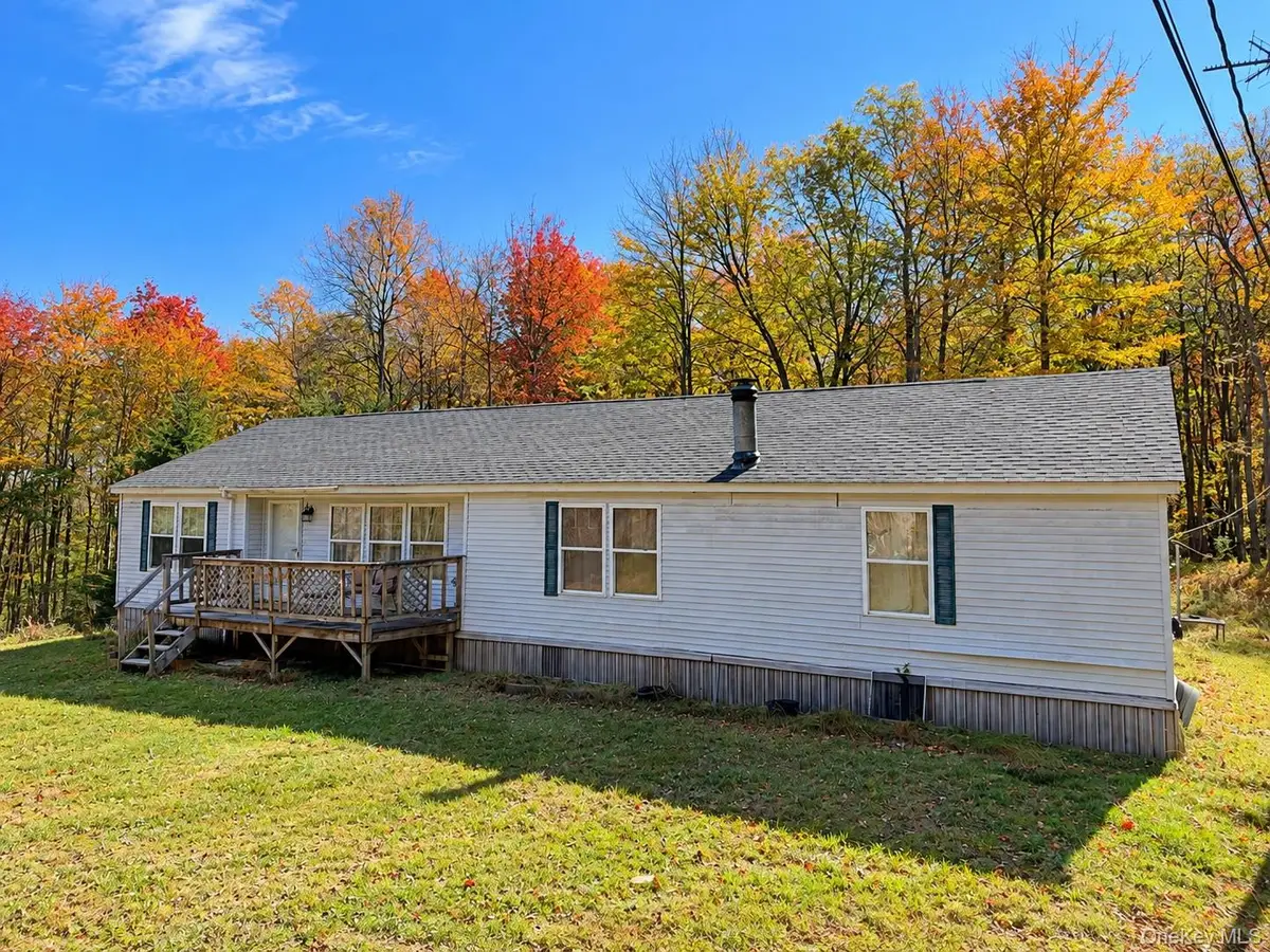 353 Knickerbocker Road, Livingston Manor, NY 12758 - #1
