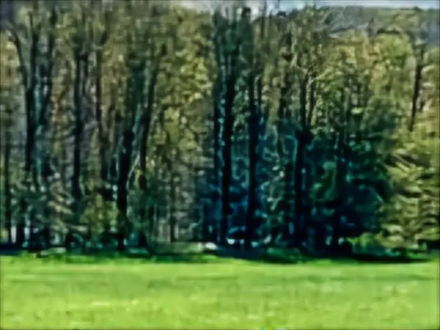 #2
