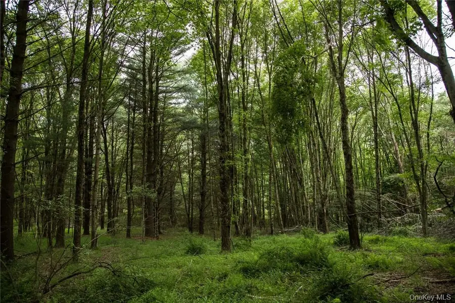 Lot 1 Chapin Trail, White Lake, NY 12786 - #2