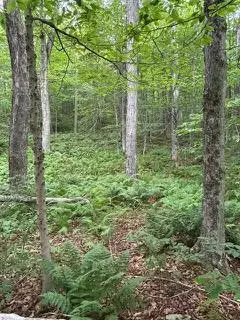#1