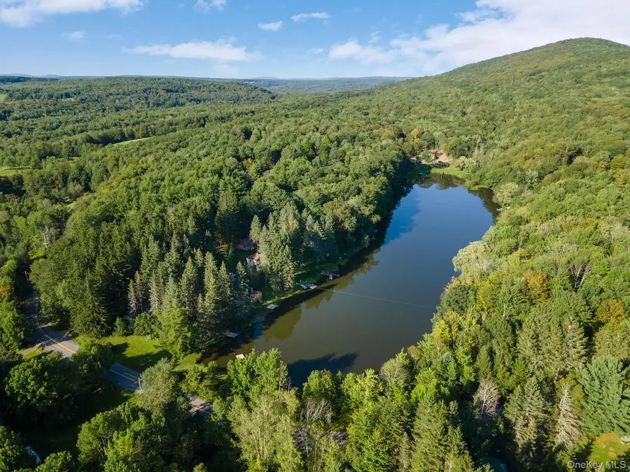 106 Earles Lane, Gilboa, NY 12076 - #2