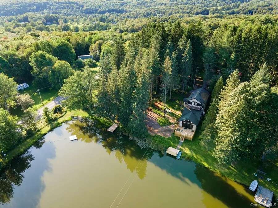 106 Earles Lane, Gilboa, NY 12076 - #3