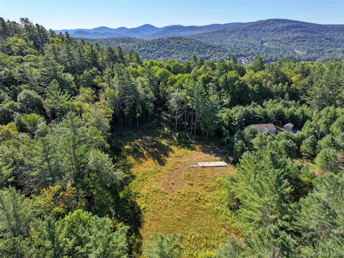 L39 Off Flowers Way, Long Lake, NY 12847 - #1