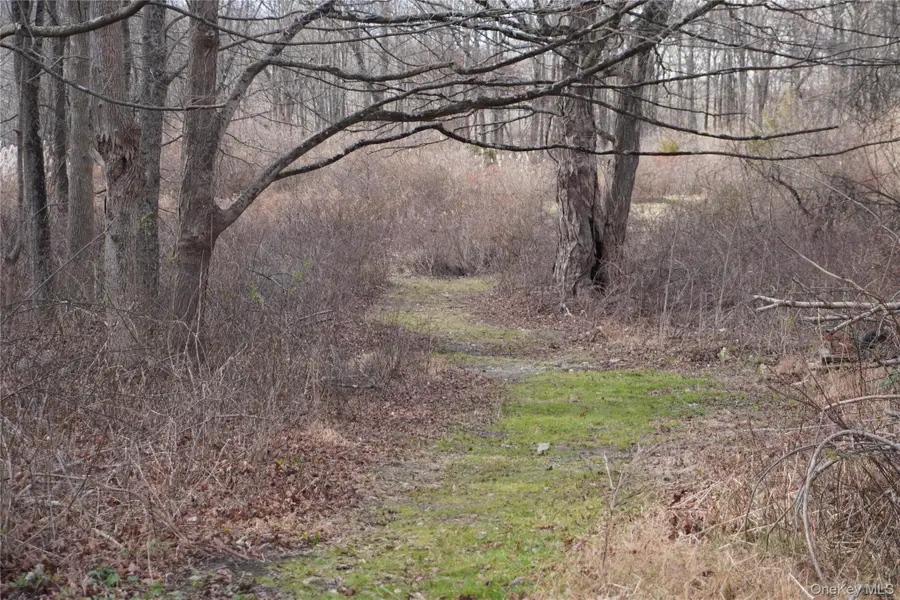 Route 301 Rt-301, Carmel, NY 10512 - Image #3