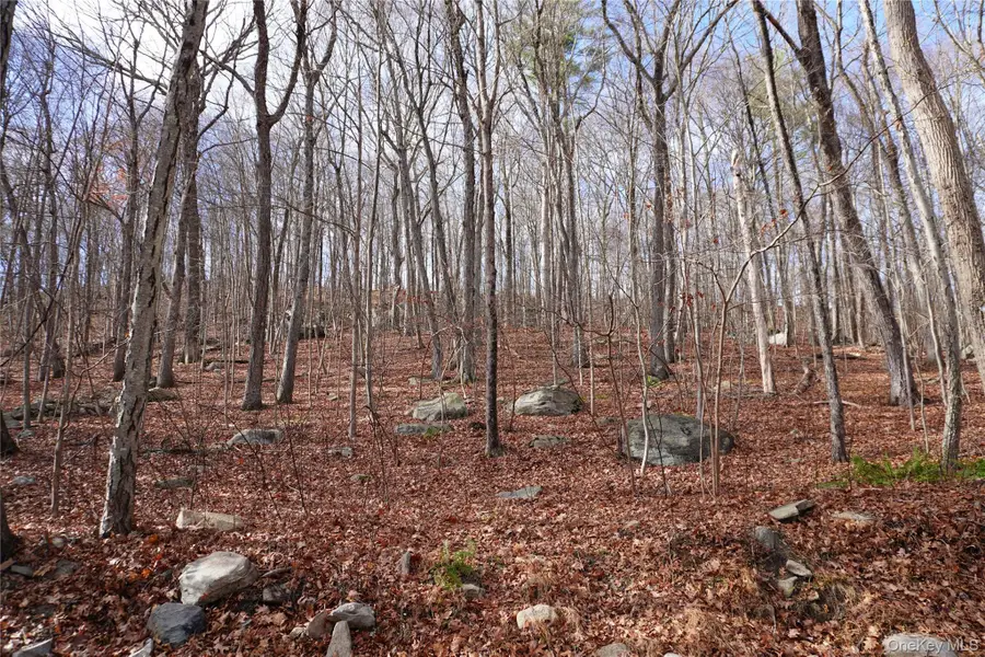 Knapp Court S, Carmel, NY 10512 - Image #2