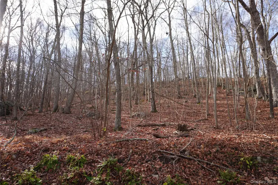 Knapp Court S, Carmel, NY 10512 - Image #3