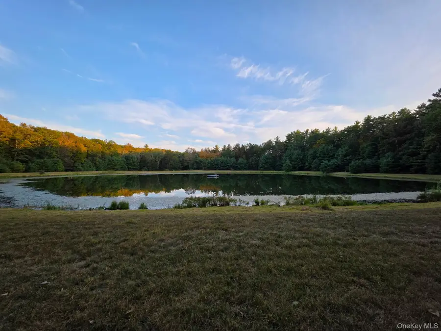 Split Rock Drive, Barryville, NY 12719 - #2