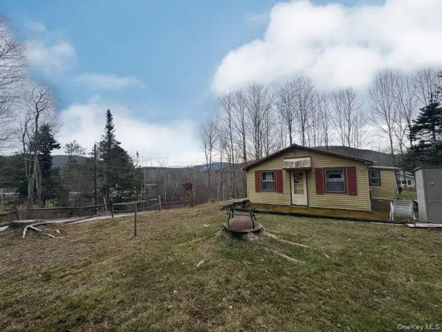 49 Ryan Road, Jewett, NY 12444 - #2