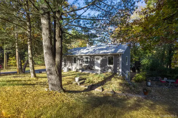 21 Henry Street, Elizaville, NY 12523