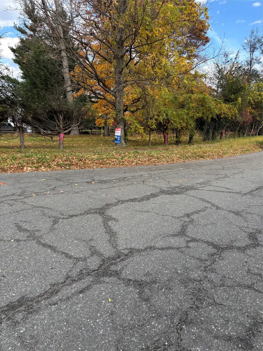 Orchard  off Manhattan Manhattan, New Rochelle, NY  - Image #2