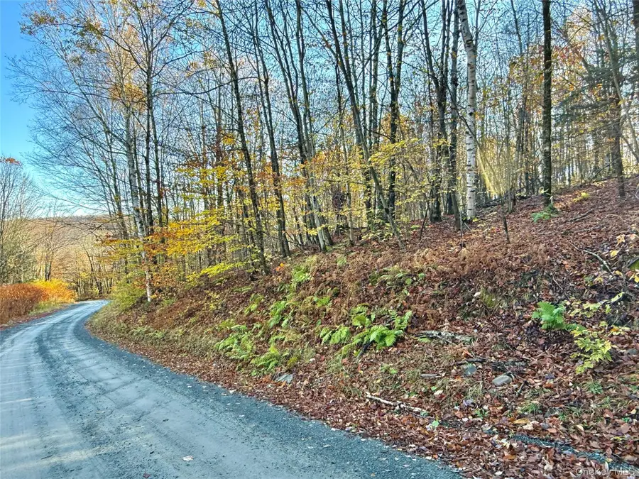 Tr 4, Fremont Center, NY 12736 - Image #3