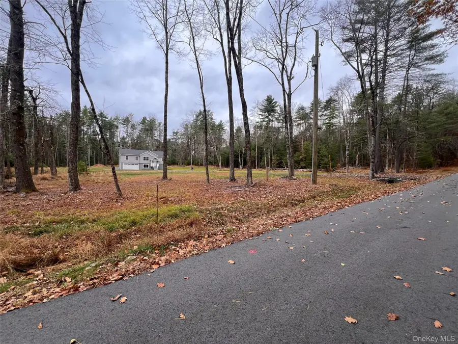 26 Summit Drive, Barryville, NY 12719 - Image #2