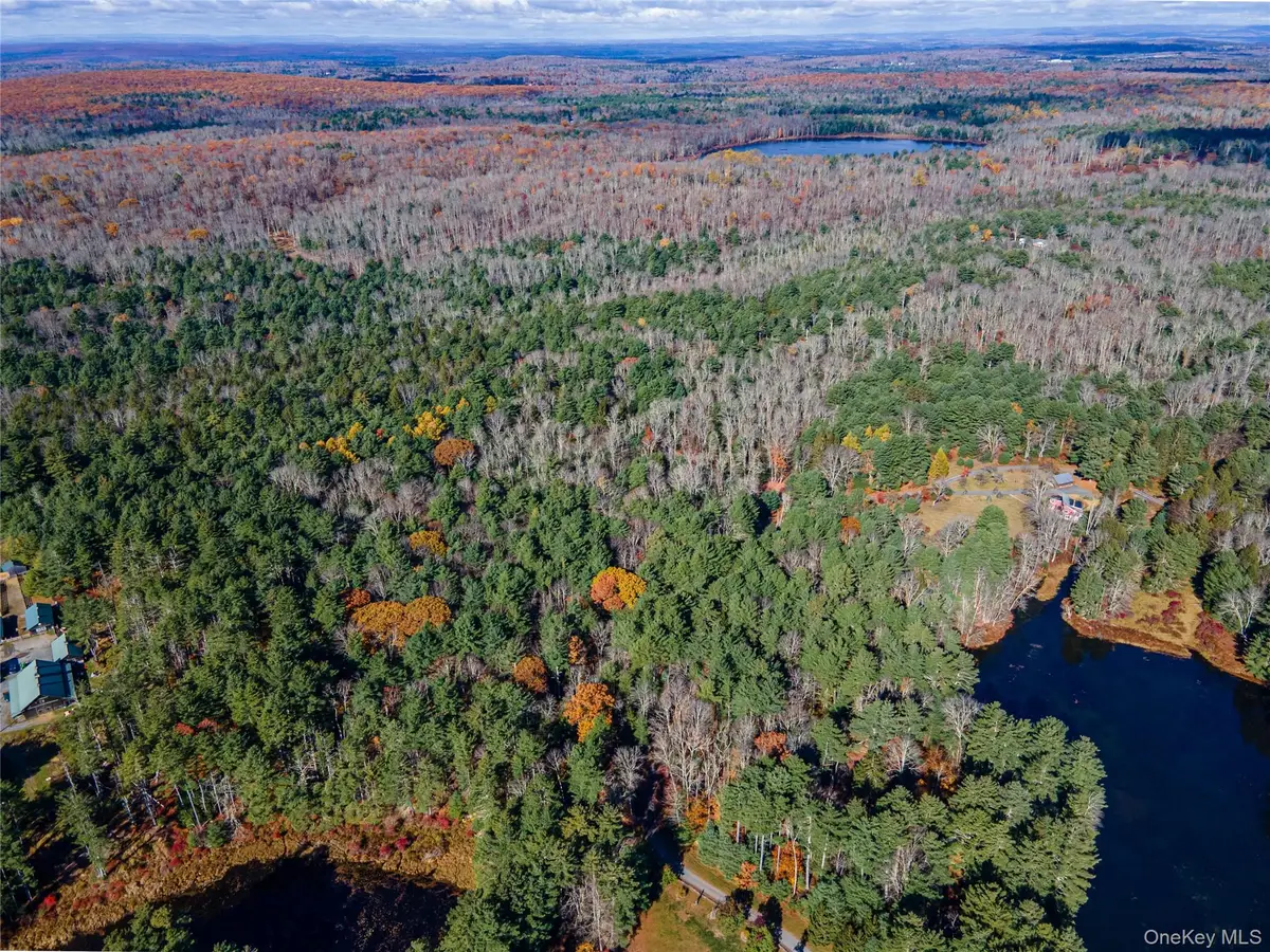 1 Philwold Road, Forestburgh, NY 12777 - Image #1