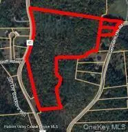 0 County Route 41, Cairo, NY 12413 - Image #1