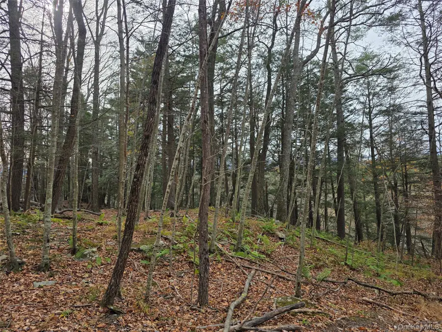 0 County Route 41, Cairo, NY 12413 - Image #3