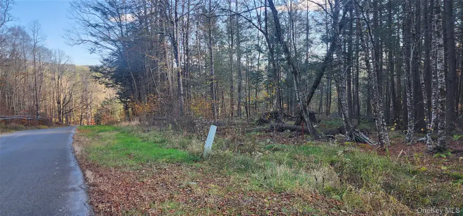 Hunter Road, Grahamsville, NY 12740 - Image #3