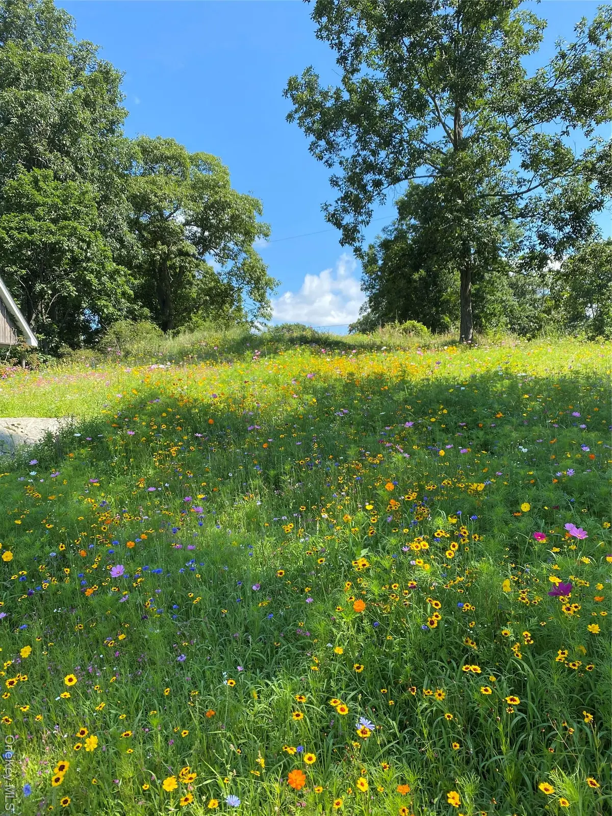 12 Powers Lane, Saugerties, NY 12477 - Image #1