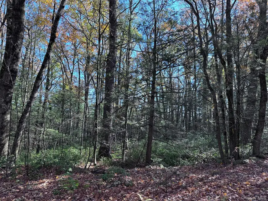 Lot 2 Upper Cherrytown Road, Kerhonkson, NY 12446 - Image #2