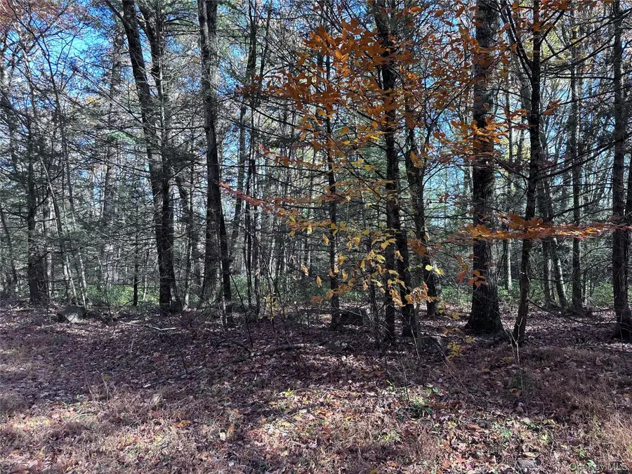 Lot 2 Upper Cherrytown Road, Kerhonkson, NY 12446 - Image #3