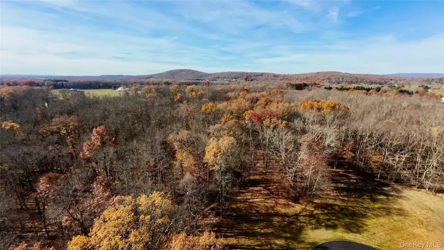 109 White Birch Lane, Montgomery, NY 12549 - Image #2