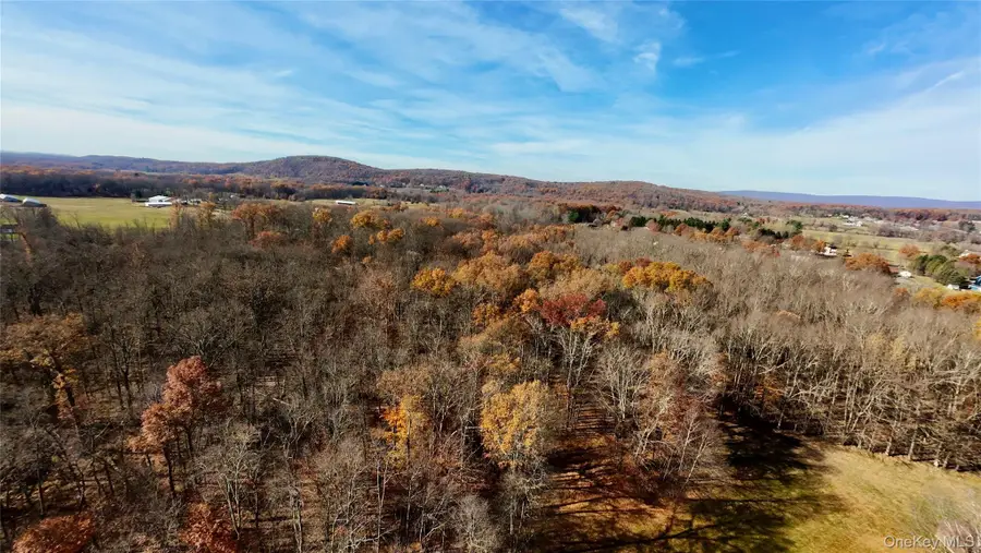 109 White Birch Lane, Montgomery, NY 12549 - Image #3