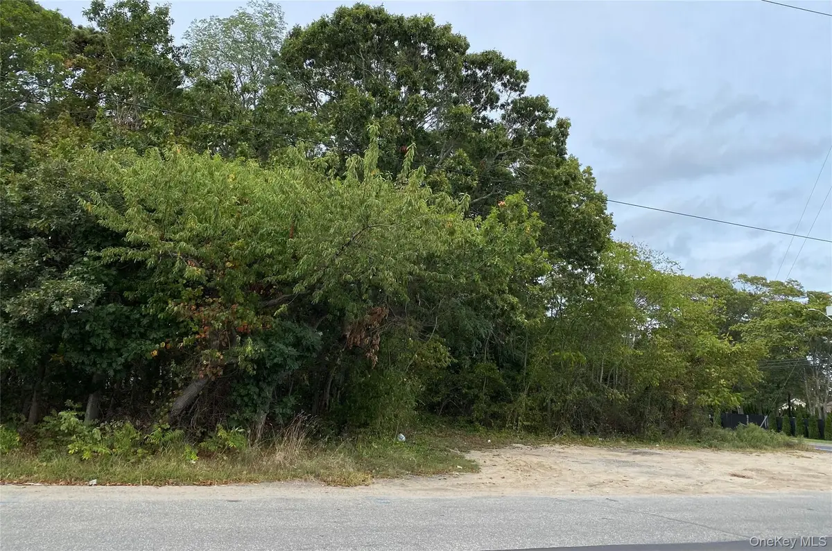 9 Maple Place, Central Islip, NY 11722 - Image #1