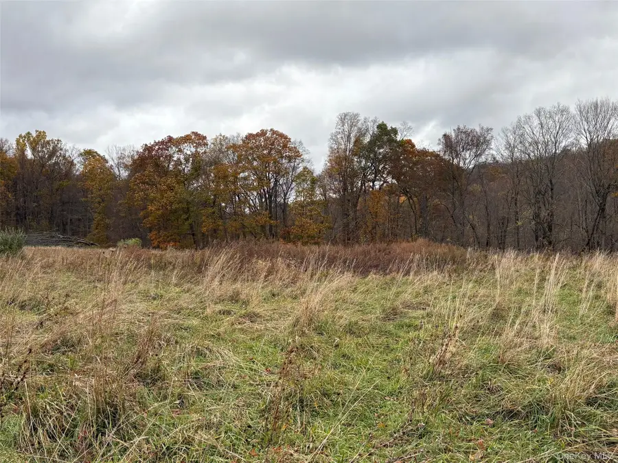 Pleasant Ridge Road, Poughquag, NY 12570 - Image #2