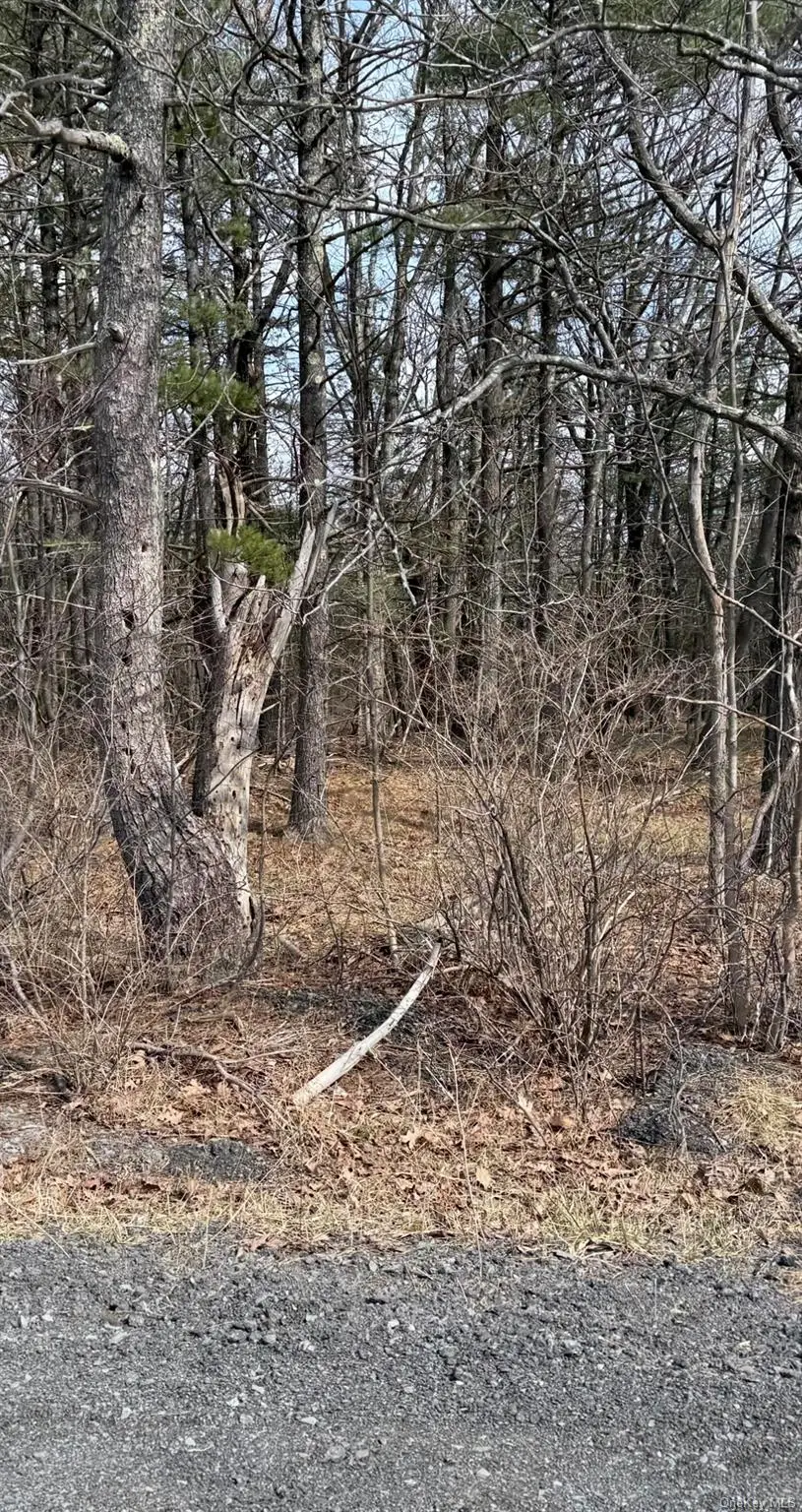 County Route 312, Patchogue, NY 12045 - #1