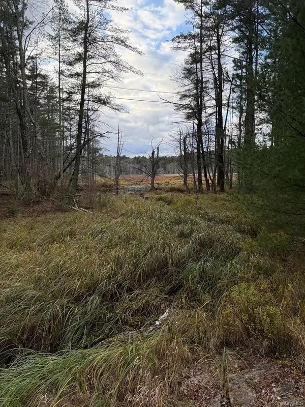 0 Puckyhuddle Road, Bethel, NY 12720