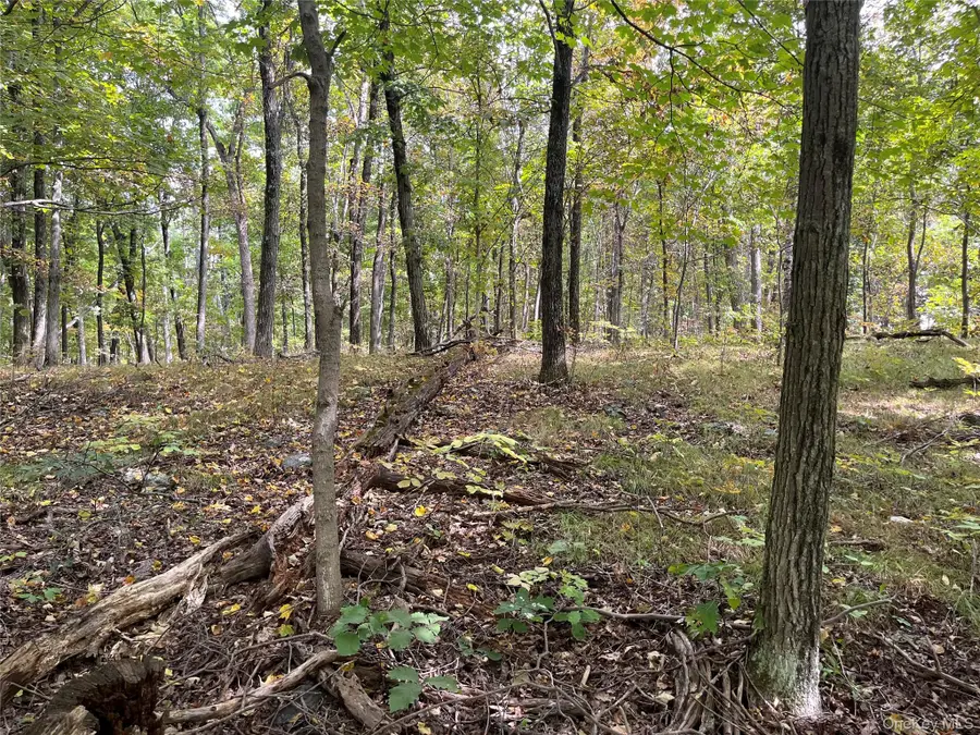 1154 Cold Spring Road Cold Spring Road, Clinton Corners, NY 12514 - Image #2