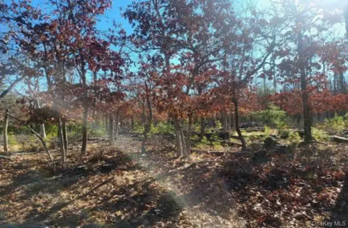 550 Wainscott Nw Road, Wainscott, NY 11975 - Image #3