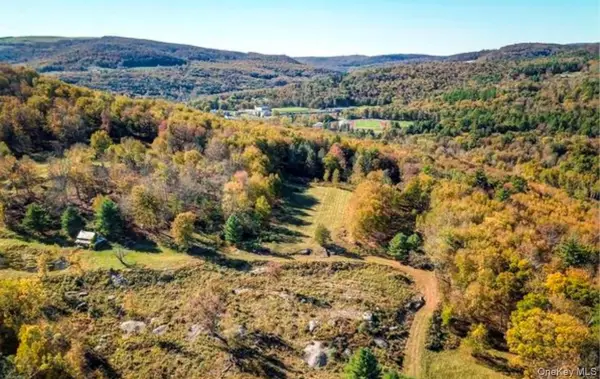 Porcupine Road, Grahamsville, NY 12740