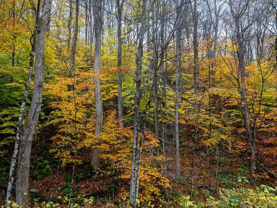 3 Chapin Trail, White Lake, NY 12786 - Image #3