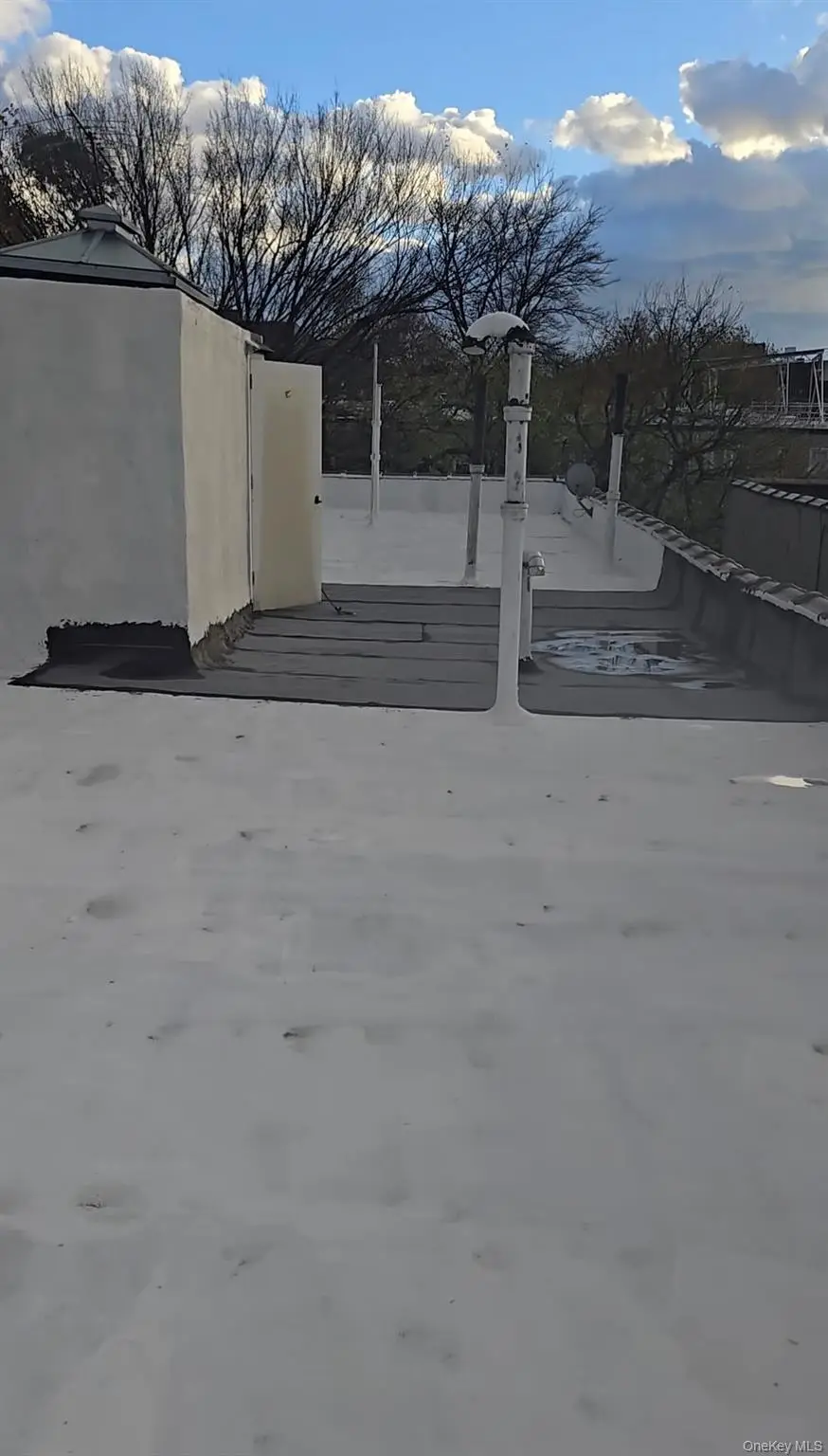 1136 Saint Marks Avenue #4, Brooklyn, NY 11213 - Image #2