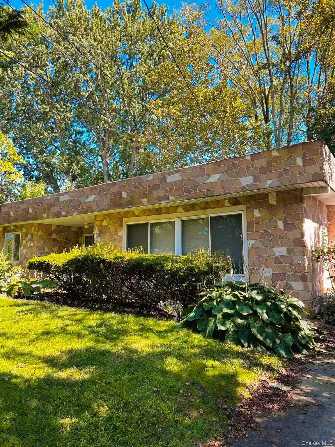 165 Scott Avenue, Deer Park, NY 11729 - Image #1