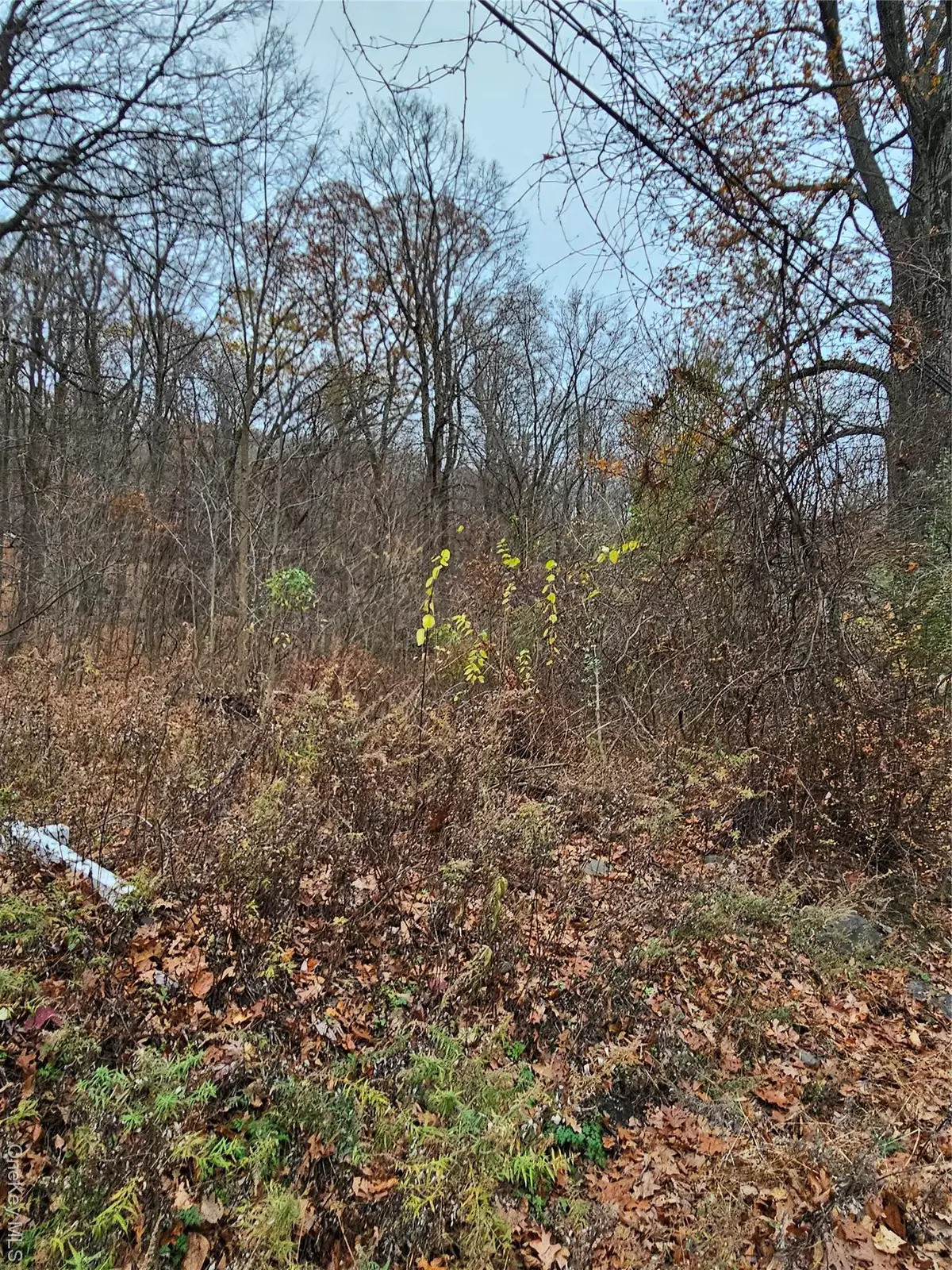 73 Sylvan Trail, Mountain Lodge Park, NY 10950 - Image #1