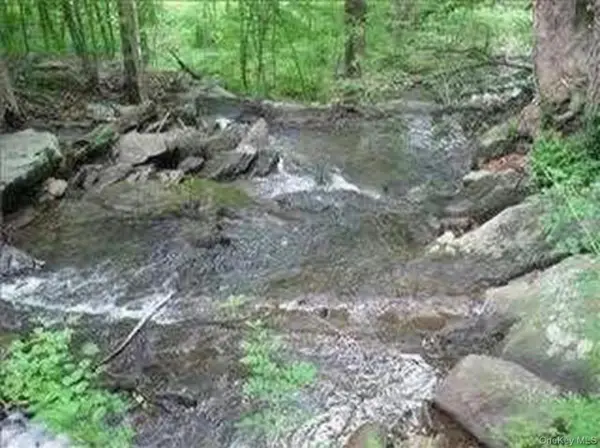 6 Thompson Drive, Staatsburg, NY 12580